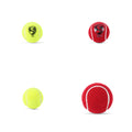 Pair of SG ICON & SG SPARK Tennis Cricket balls