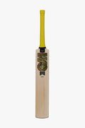 Cricket bat English willow GM PSYCHE DXM 404 TTNOW